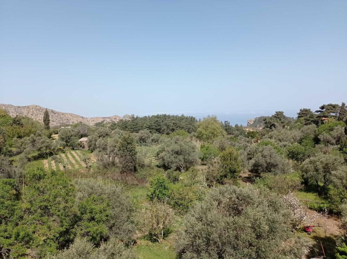 Christos Center Rooms Raches  المظهر الخارجي الصورة